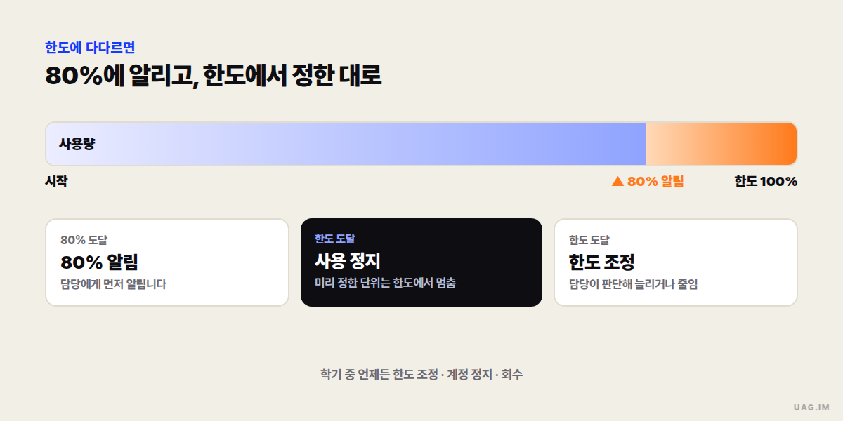 한도 도달 흐름 — 사용량 막대가 80% 지점에서 알림을 보내고, 100% 한도에 닿으면 미리 정한 대로 사용 정지 또는 담당 판단 후 한도 조정으로 이어지며, 운영 중 한도 조정·계정 정지·회수가 가능하다는 설명이 붙은 도식
